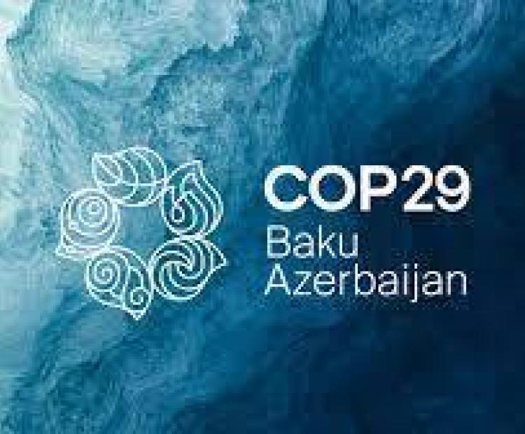 COP29