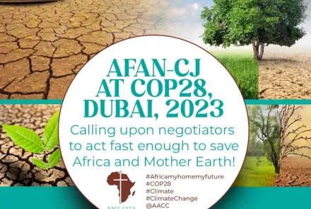 Poster for AFAN-CJ at COP 28